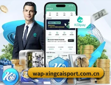 杏彩体育 APP 深度功能